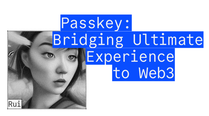 Rui - Passkey: Bridgin Ultimate Experience to Web3